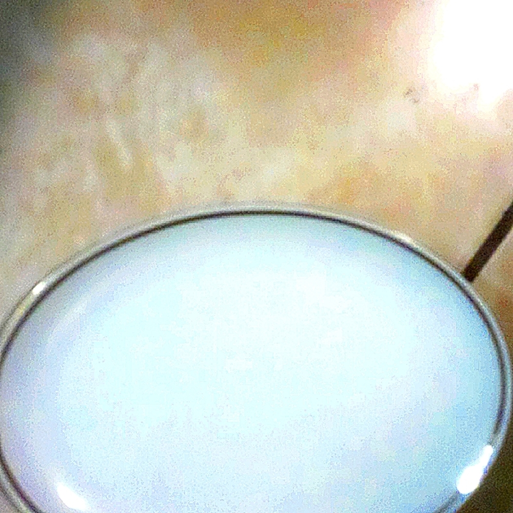 St Regis dinner ware Japan 101